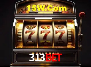 313Bet - User Statistics